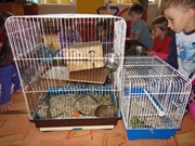 Den dětí se zvířátky